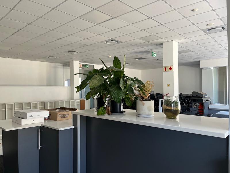 To Let Commercial Property for Rent in Claremont Western Cape